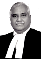 Justice V. Gopala Gowda